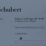 Schubert`s Fantasia in F minor, D940, Fernanda & Julio Machado